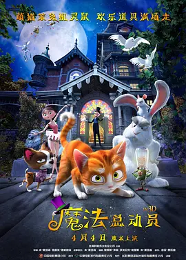 www精品视频