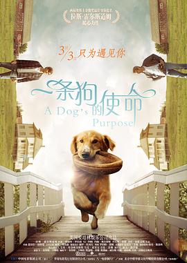 欧美精品久久一区二区三区