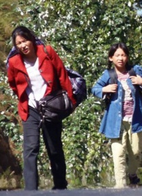 安阳旅馆的电报网女