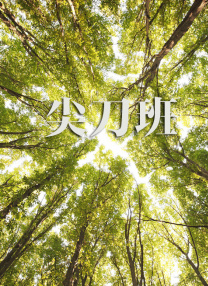 欧洲av不卡