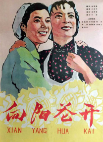 玉足视频网站