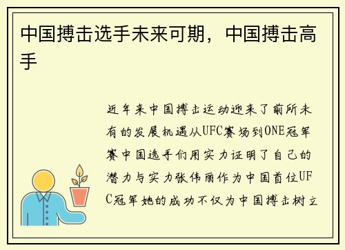 中国搏击选手未来可期，中国搏击高手